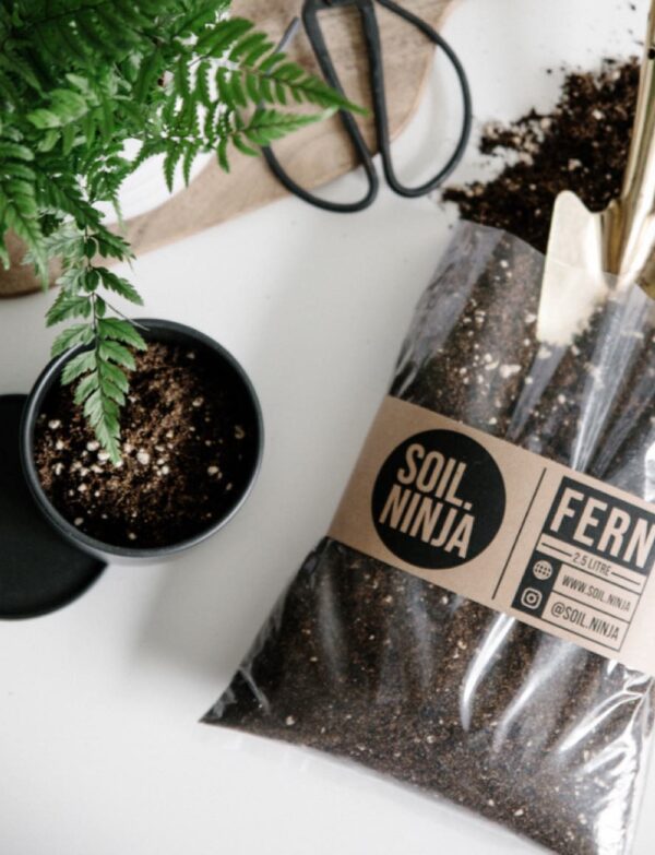 Fern Soil