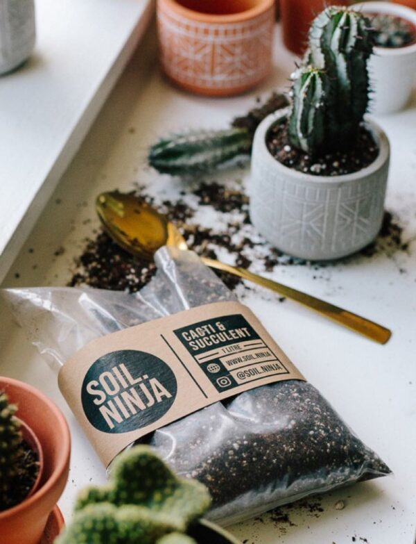 Cacti & Succulent Soil