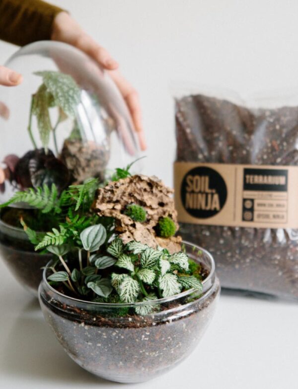 Terrarium Soil