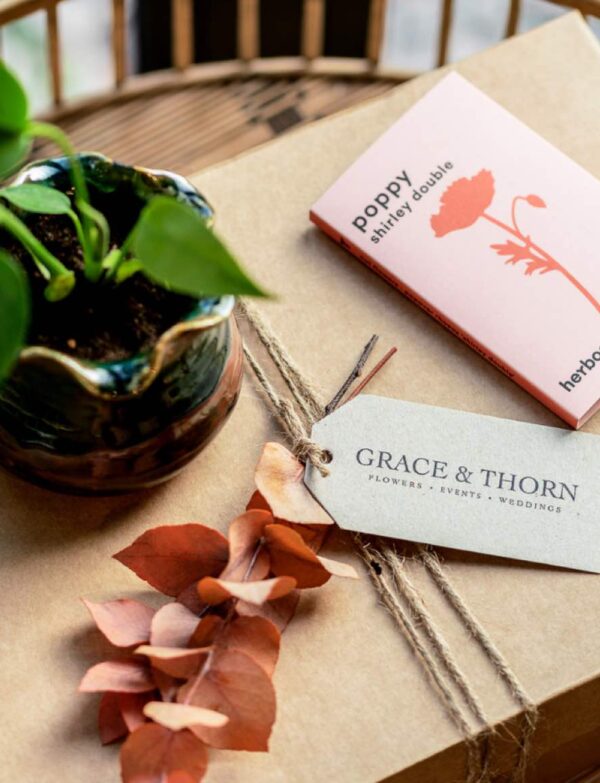 Sow Your Seed Box