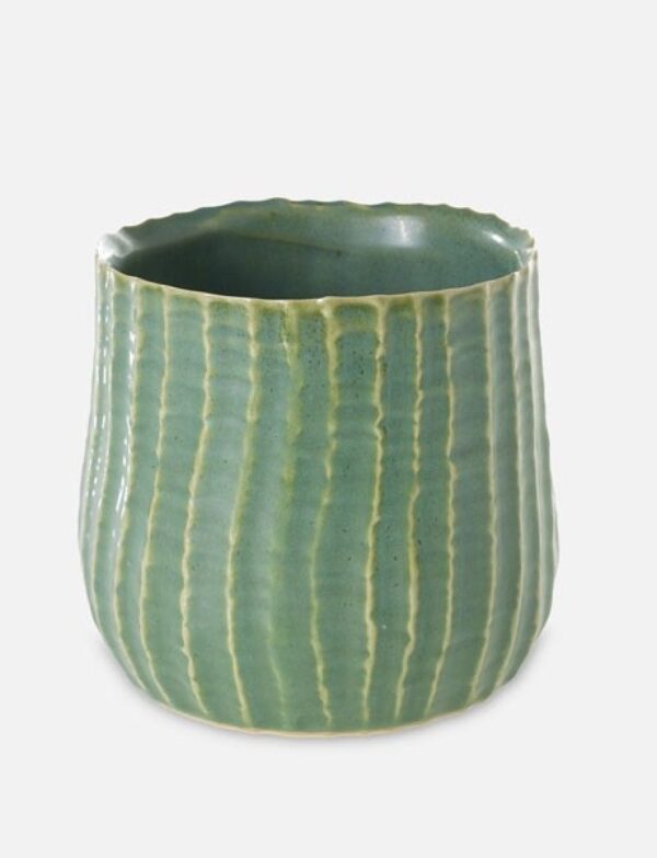 5'' Palmero Pot
