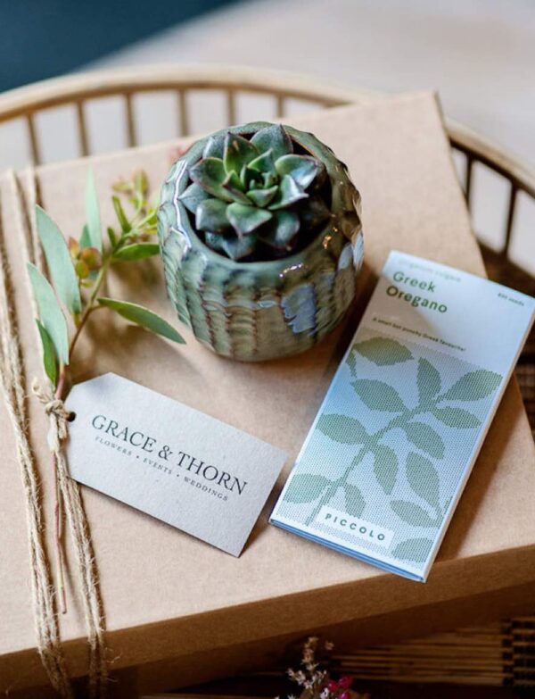 Green Box