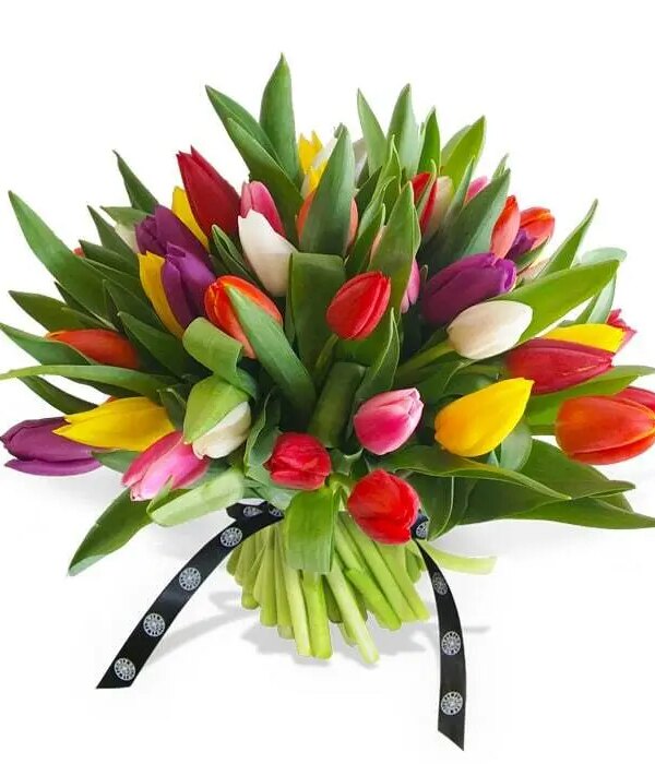 Mixed Tulips