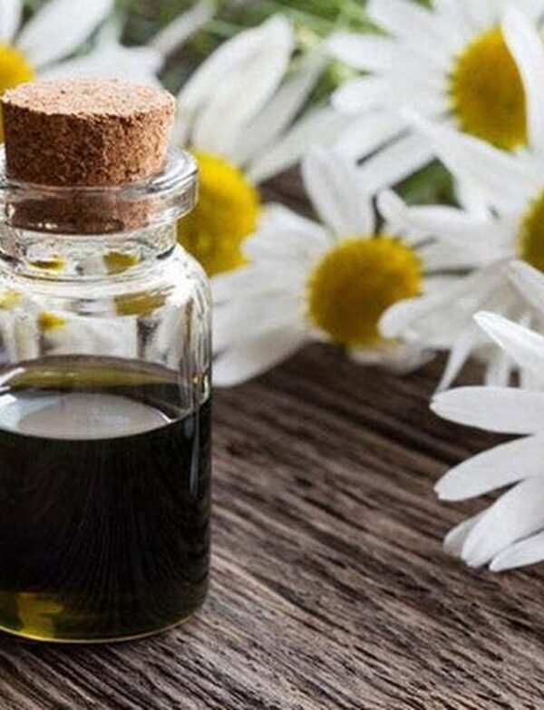 Chamomile Essential Oil – Heal Naturally