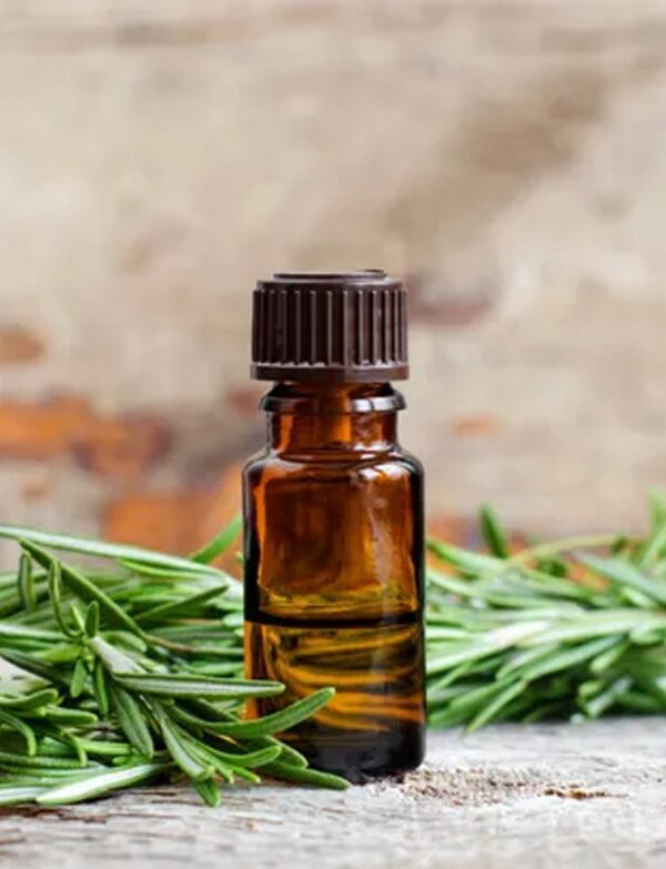 Rosemary Hair & Scalp Oil – Growth Booster